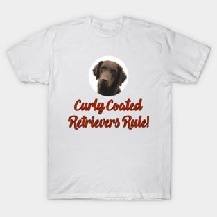 Curly Coated Retrievers Rule! T-Shirt